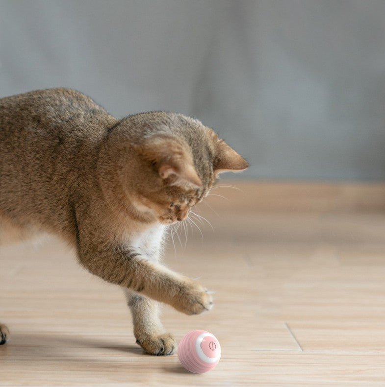 Smart Whisker: The Self-Rolling, Bouncing Cat Delight Ball - Ceedalles